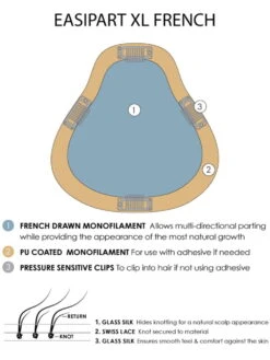 EasiPart French XL 8" | Remy Human Hair Topper (HT) 24 EasiPart French XL 8" | Remy Human Hair Topper (HT) -Wigs - Jon Renau 0004 easiPart French XL base diagram
