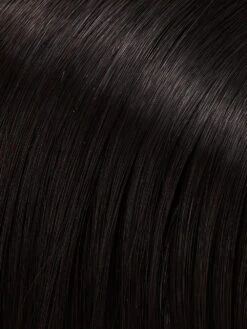 EasiPart HD XL 8" | HF Synthetic Hair Topper -Wigs - Jon Renau 0027 HD 1B 37f6873d e349 4857 ac9f 48dd04db7880