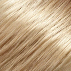 Gwen Wig By Jon Renau -Wigs - Jon Renau ASH BLONDE BLENDED W CHAMPAGNE BLONDE 16 22 7894dc26 b6ca 48ea 8bdf 630e209e1272