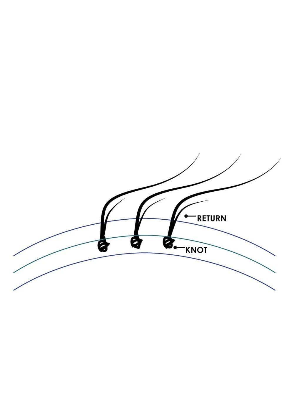 Cara | Remy Human Hair Wig (Hand-Tied) 7 Cara | Remy Human Hair Wig (Hand-Tied) - Image 7