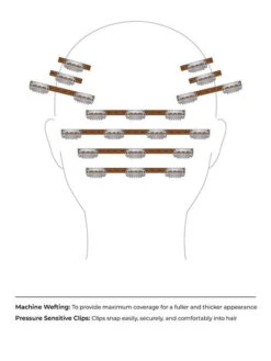 EasiExtensions 16" | Human Hair Extension | Clip In -Wigs - Jon Renau Part 2 JR easiTress easiExtensions 16 20